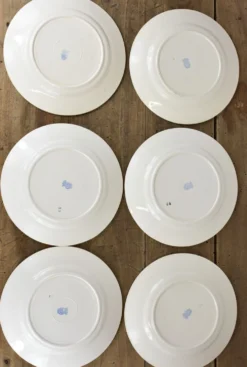 Lot de 12 assiettes, 6 plates et 6 creuses n1