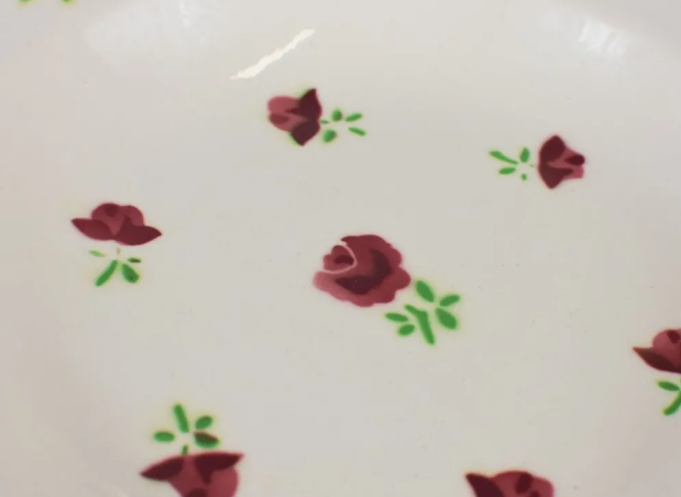 Lot de 12 assiettes, 6 plates et 6 creuses n1