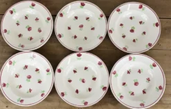Lot de 12 assiettes, 6 plates et 6 creuses n1