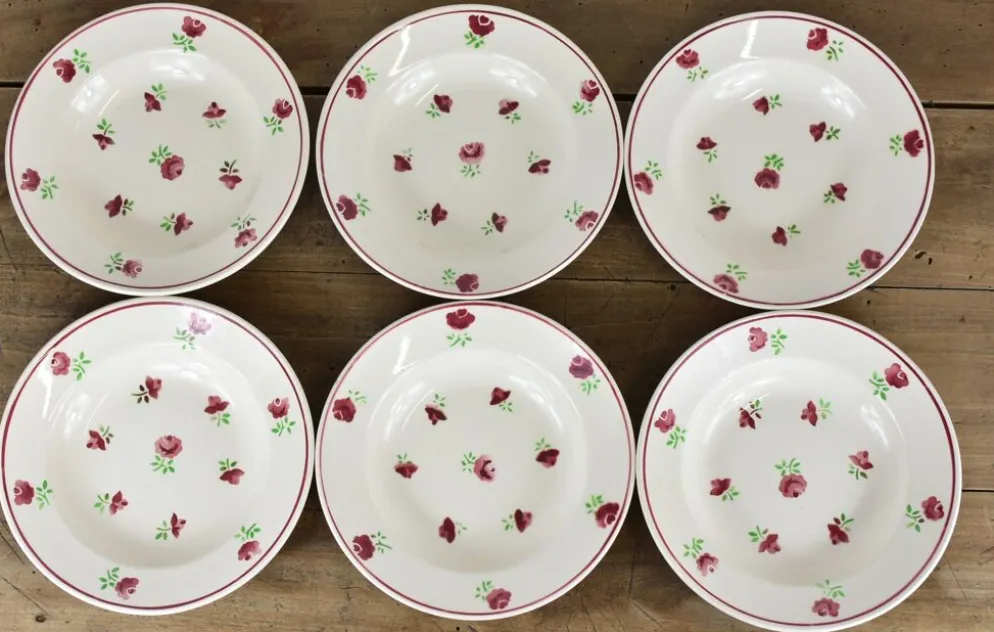 Lot de 12 assiettes, 6 plates et 6 creuses n1