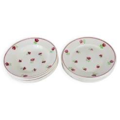 Lot de 12 assiettes, 6 plates et 6 creuses n1