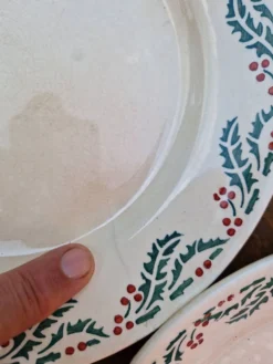 Lot De 7 Assiettes Plates Modèle Houx HB
