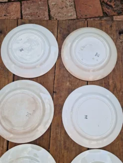 Lot De 7 Assiettes Plates Modèle Houx HB
