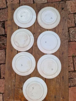 Lot De 7 Assiettes Plates Modèle Houx HB