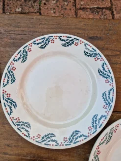 Lot De 7 Assiettes Plates Modèle Houx HB