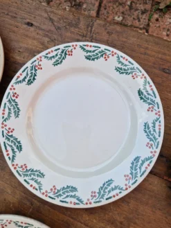 Lot De 7 Assiettes Plates Modèle Houx HB