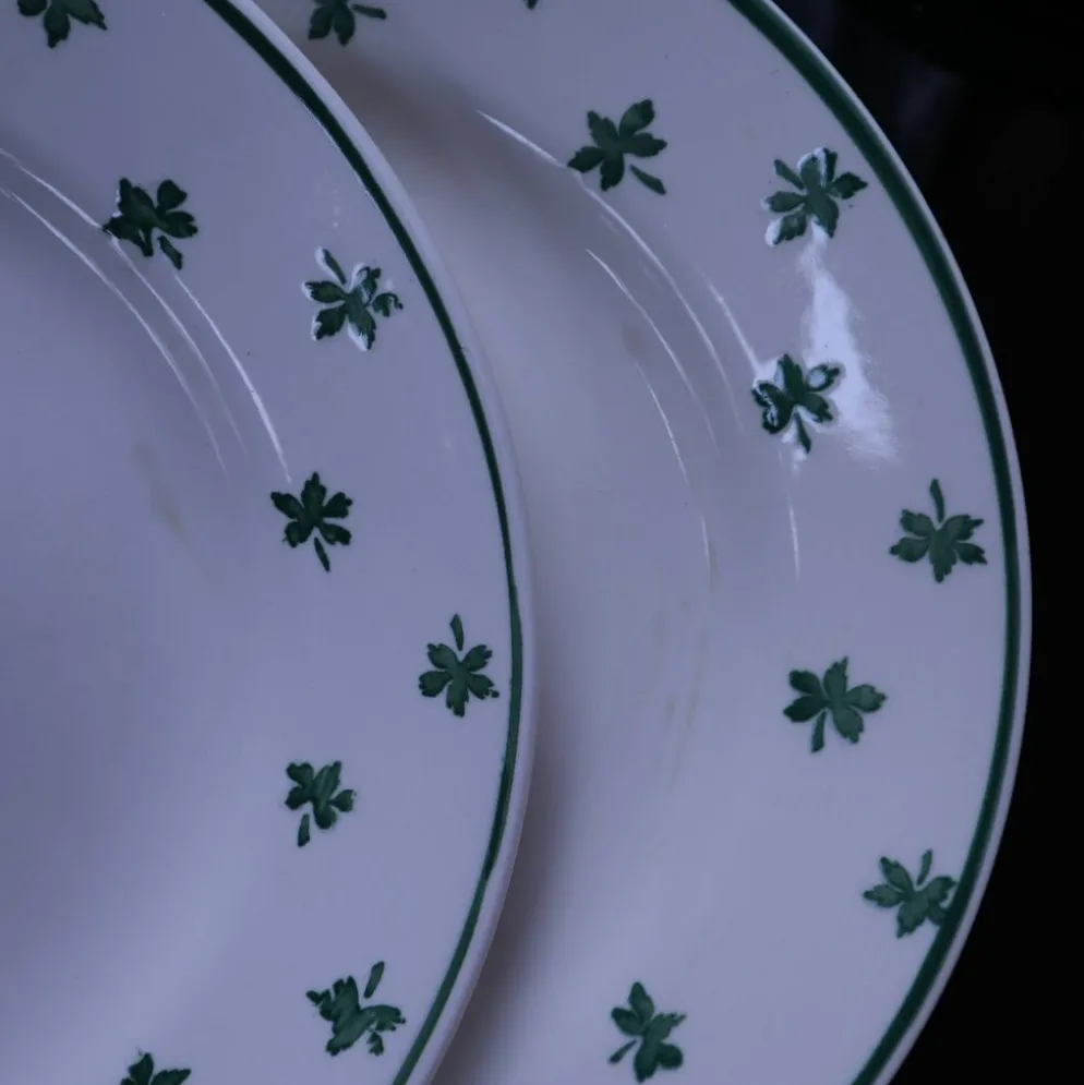 Lot de 6 assiettes plates 5200 Sarreguemines et Digoin Vintage