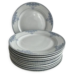 Lot de 11 assiettes plates Service Windsor Creil et Montereau 24,5cm