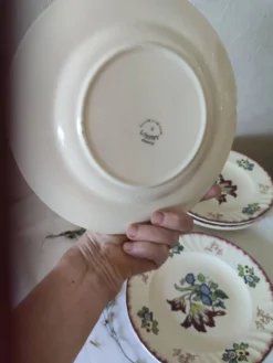Lot de 5 assiettes plates, signé Longwy