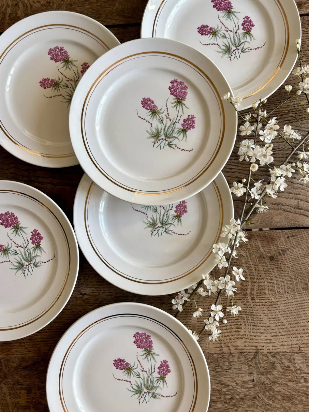 Lot de 6 assiettes plates vintage - Moulin des Loups