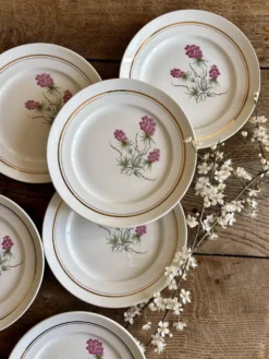 Lot de 6 assiettes plates vintage - Moulin des Loups