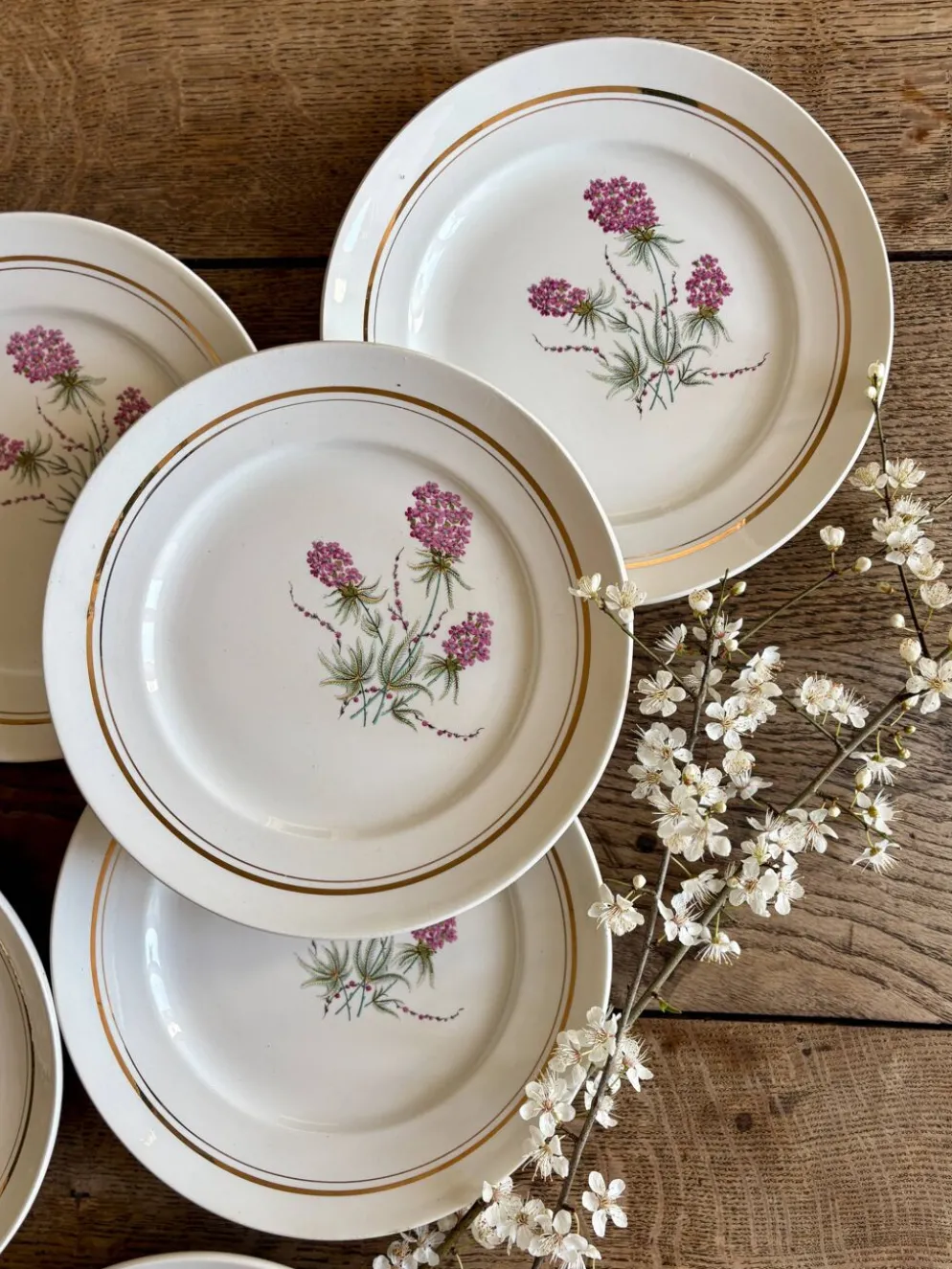Lot de 6 assiettes plates vintage - Moulin des Loups