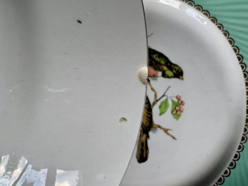 Lot de 10 assiettes plates vintage dépareillées (L12)