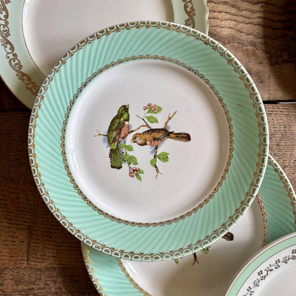 Lot de 10 assiettes plates vintage dépareillées (L12)