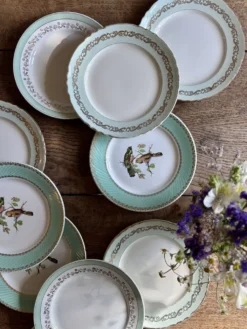 Lot de 10 assiettes plates vintage dépareillées (L12)