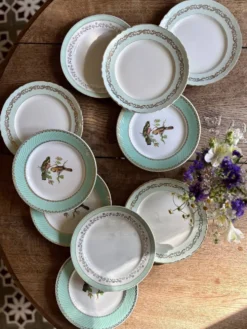 Lot de 10 assiettes plates vintage dépareillées (L12)