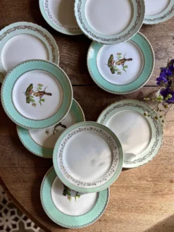 Lot de 10 assiettes plates vintage dépareillées (L12)