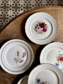 Lot de 10 assiettes plates vintage dépareillées (L16)