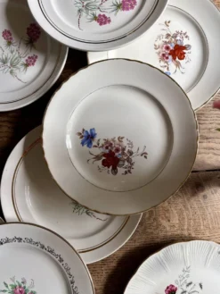 Lot de 10 assiettes plates vintage dépareillées (L16)