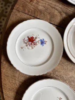 Lot de 10 assiettes plates vintage dépareillées (L16)