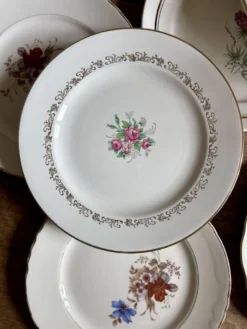 Lot de 10 assiettes plates vintage dépareillées (L16)