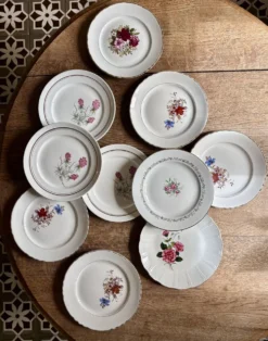Lot de 10 assiettes plates vintage dépareillées (L16)
