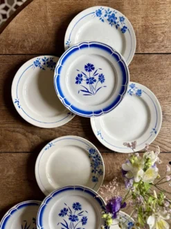 Lot de 8 assiettes plates vintage dépareillées