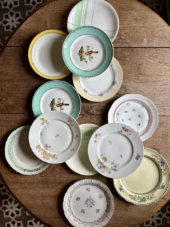 Lot de 12 assiettes plates vintage dépareillées
