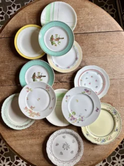 Lot de 12 assiettes plates vintage dépareillées