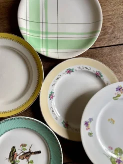 Lot de 12 assiettes plates vintage dépareillées