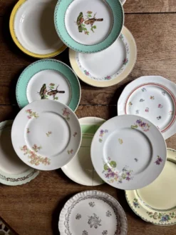 Lot de 12 assiettes plates vintage dépareillées