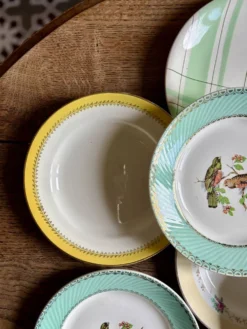 Lot de 12 assiettes plates vintage dépareillées