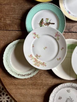 Lot de 12 assiettes plates vintage dépareillées
