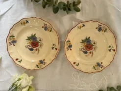 Lot de 2 assiettes Sarreguemines