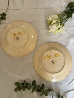 Lot de 2 assiettes Sarreguemines