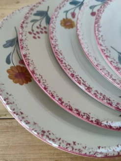 Lot de 5 assiettes vintage à desser en faïence de Salins - Modèle Molière
