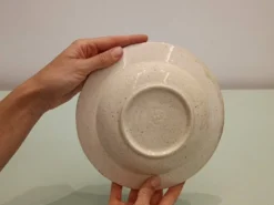 Lot de 5 assiettes vintage en céramique mouchetée –
