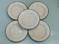Lot de 5 assiettes vintage en céramique mouchetée –