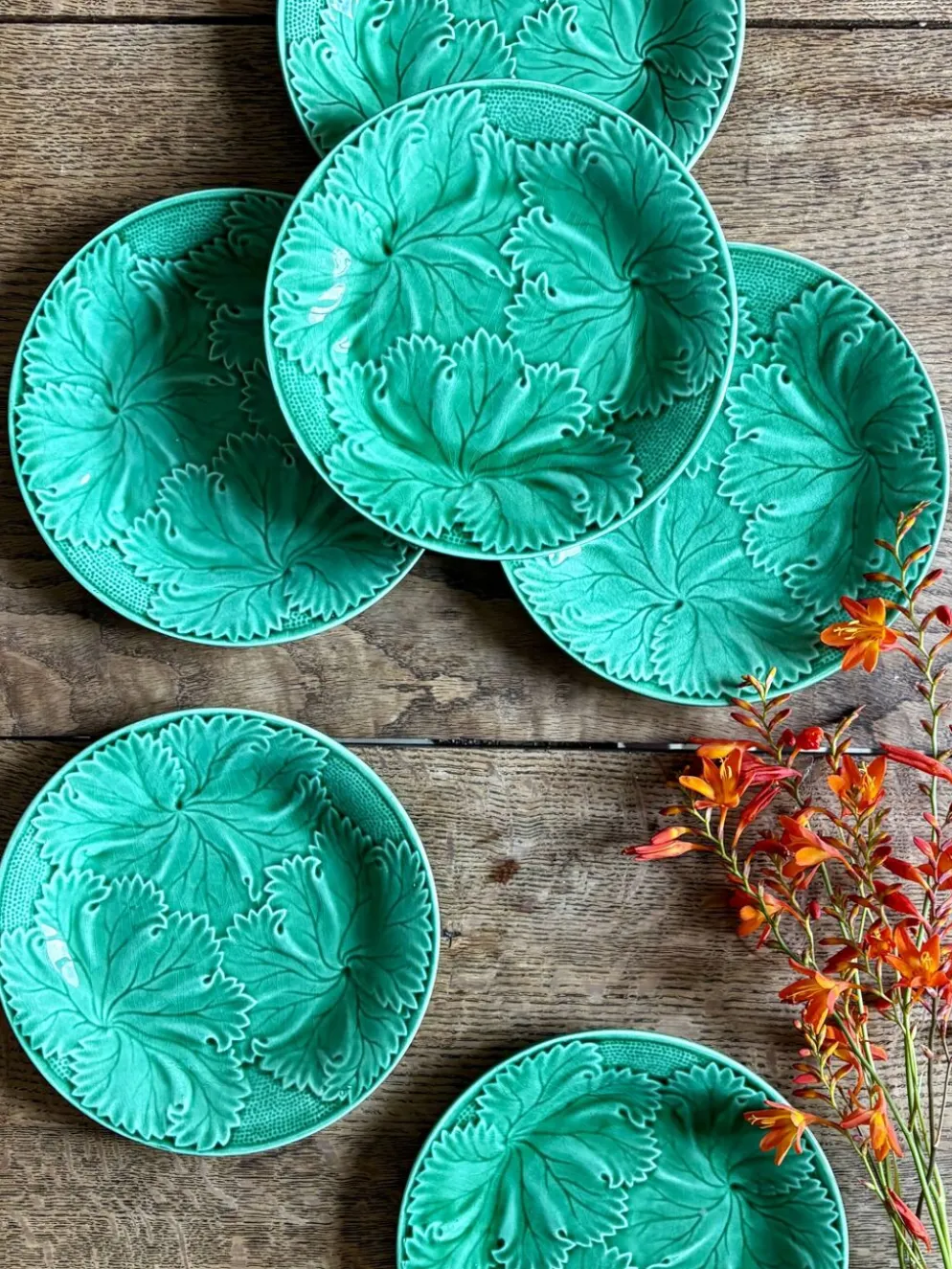 Lot de 6 assiettes vintage en faïence verte