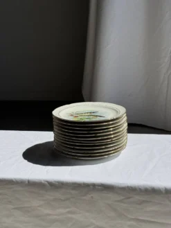 Lot de 6 assiettes vintage en porcelaine de Limoges à décor de poissons