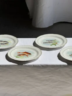 Lot de 6 assiettes vintage en porcelaine de Limoges à décor de poissons