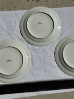 Lot de 6 assiettes vintage en porcelaine de Limoges à décor de poissons