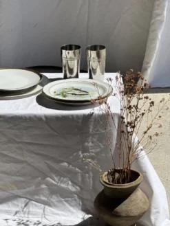 Lot de 6 assiettes vintage en porcelaine de Limoges à décor de poissons