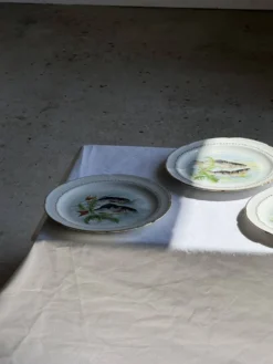 Lot de 6 assiettes vintage en porcelaine de Limoges à décor de poissons