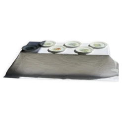 Lot de 6 assiettes vintage en porcelaine de Limoges à décor de poissons