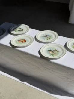 Lot de 6 assiettes vintage en porcelaine de Limoges à décor de poissons