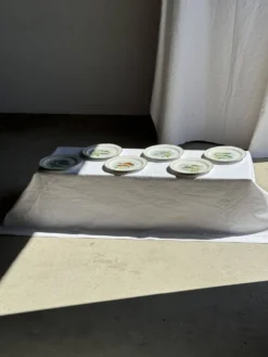 Lot de 6 assiettes vintage en porcelaine de Limoges à décor de poissons