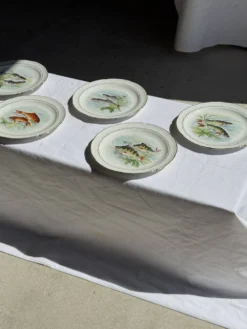 Lot de 6 assiettes vintage en porcelaine de Limoges à décor de poissons