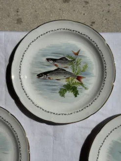 Lot de 6 assiettes vintage en porcelaine de Limoges à décor de poissons