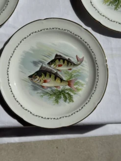 Lot de 6 assiettes vintage en porcelaine de Limoges à décor de poissons